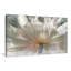 «Lily Light», reproduction-30118227-30897977