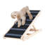 Pet Ramps-253103776
