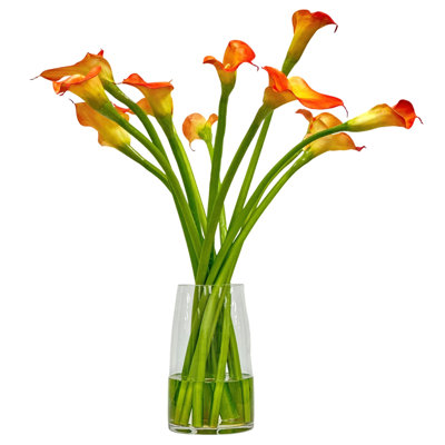 Calla Lily In Glass