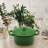 RJ LEGEND 0.25 Quarts Non-Stick Enameled Cast Iron Round Dutch Oven Set-55840839