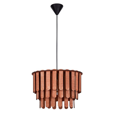1 - Light Unique/Statement Pendant