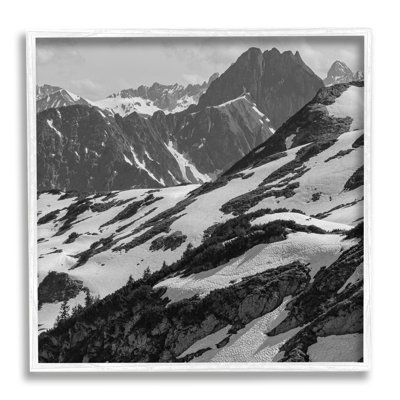 Montagnes enneigées sur bois