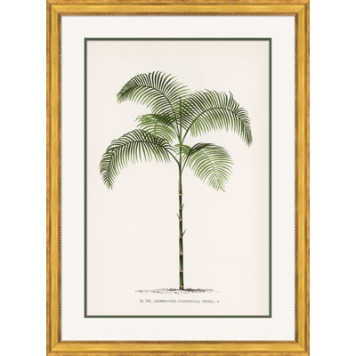 «Palms 1» - Peinture encadrée sur papier