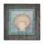 « cadre gypsy sea shell », reproduction de photo sur toile tendue-26859220