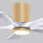 Irene 5 - Blade LED Ceiling Fan with Light Kit Included-550818584-660184499-608716643