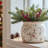 Adairsville Modern Farmhouse Ceramic Pot Planter & Vase, Vintage Retro Flower Pot for Indoor Plants & Home Garden Decor-863701037