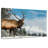 Brampt Elk Winter Journey-107876830