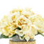 Cream Hydrangea in Rope Glass Vase-329598712