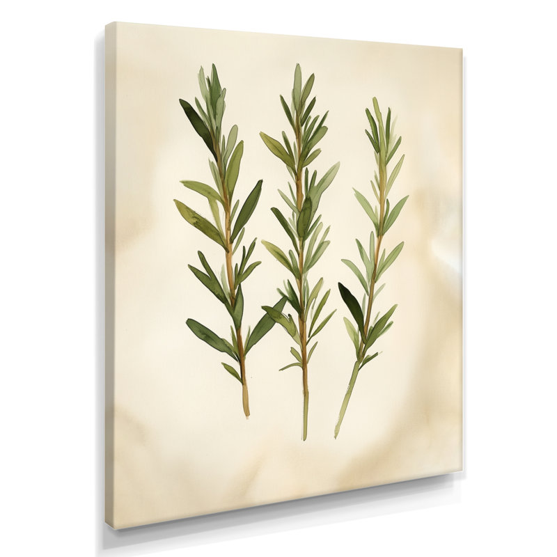 Brins de romarin sauvage - Décoration murale aux herbes, H 32 po x l 16 po, Toile tendue