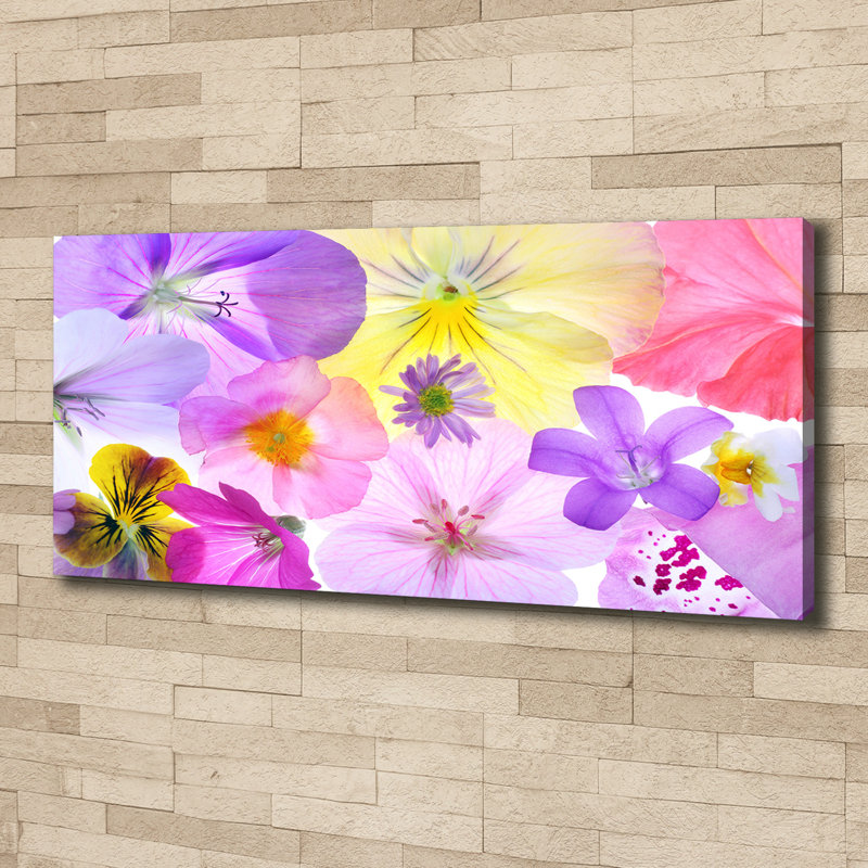 Pansies - Wrapped Canvas Print, Canvas, 50cm H x 125cm W 