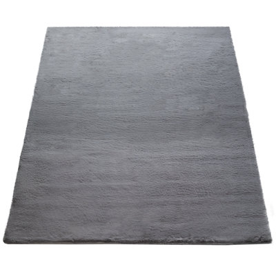 Performance Indoor Rug