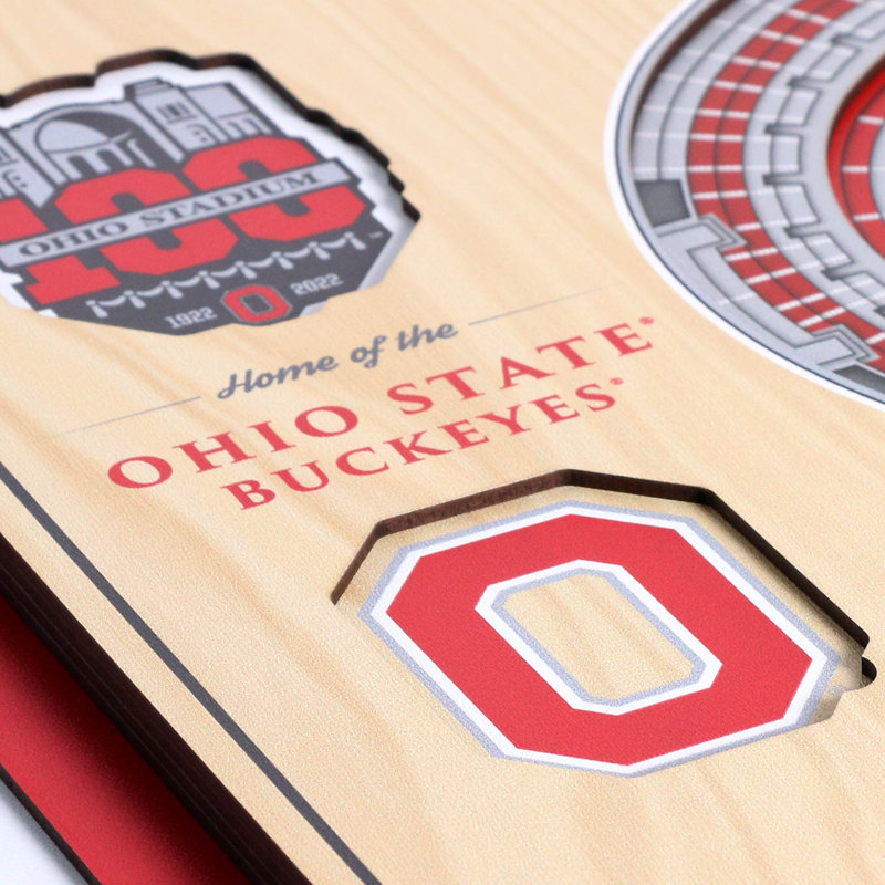 Handmade Wall Decor, Ohio State Buckeyes 100th