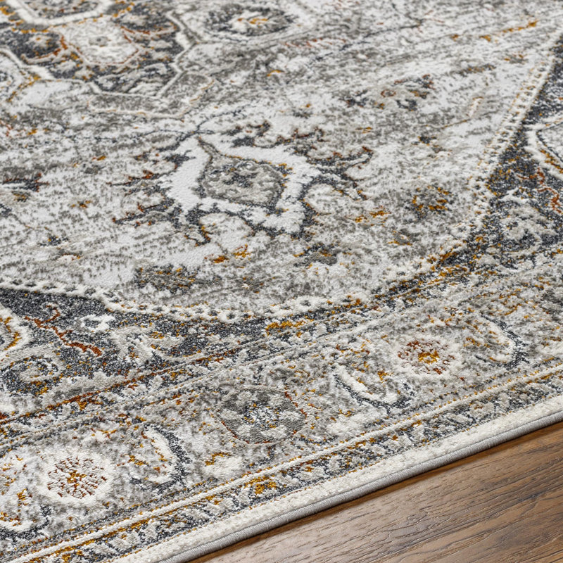 Mikel Traditional Dark Gray Area Rug, Rectangle 5'3" x 7'