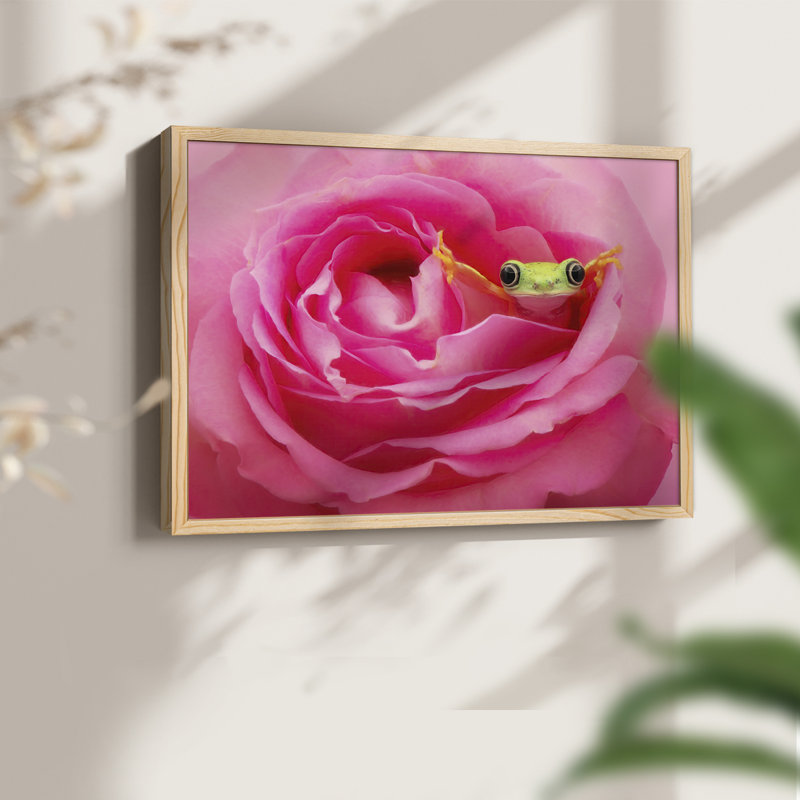 «Hanging On» - reproduction encadrée - réarmable, Naturel, H 16 po x l 20 po