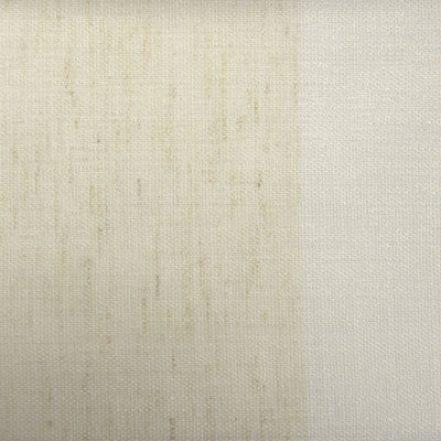 Tissu abstrait 160 Sheers