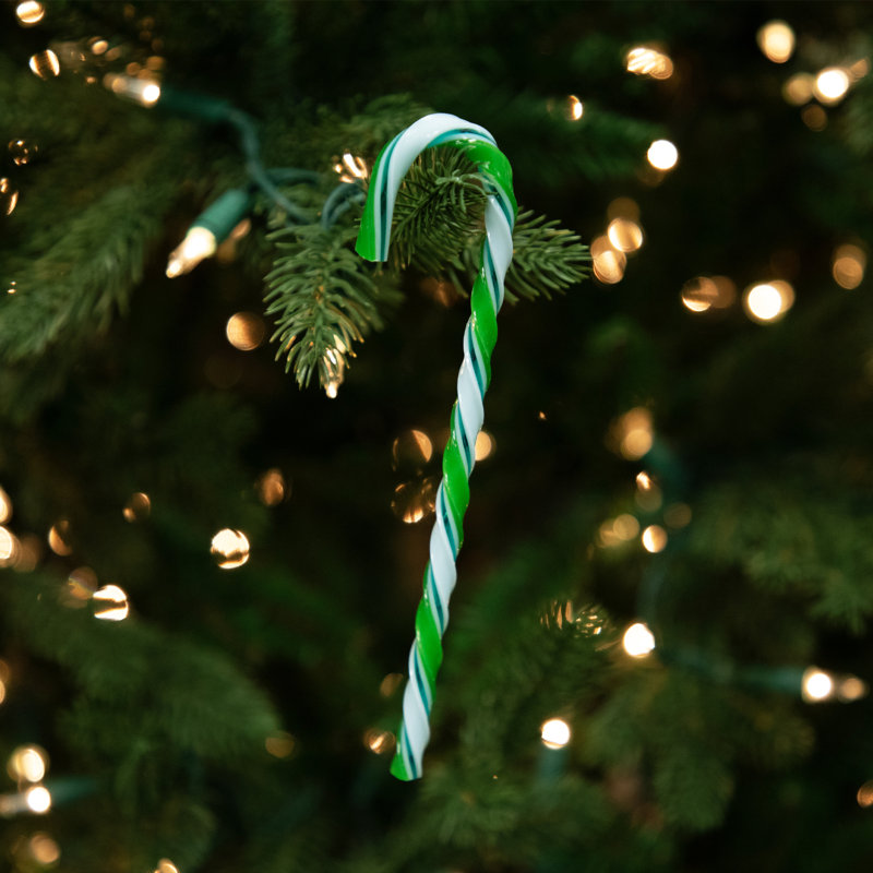 Northlight Seasonal