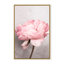 Nature Inspired Peony by  - Picture Frame Photograph on Paper-81387086-131284497-131284575