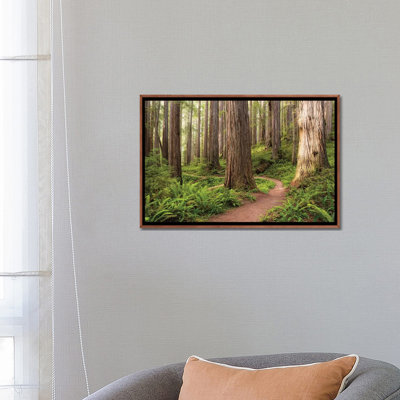 Redwood Trail by Stefan Hefele - Photograph Print on Canvas