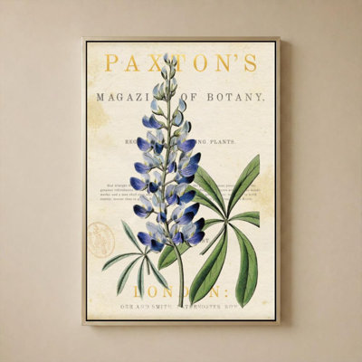 Blue Lupine by Susan Arnot - Graphic Art on Canvas