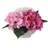 8"Tx10"D Hydrangea in Cement Pot