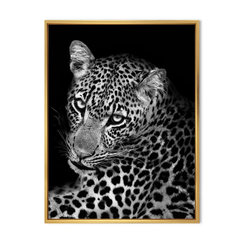 Léopard en noir et blanc II - reproduction d'art sur toile, H 36 po x l 24 po x P 1 po, Cadre flottant doré