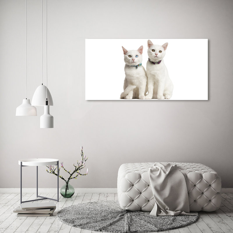 White Cats - Wrapped Canvas Print