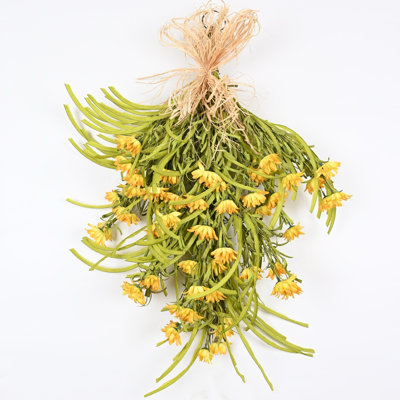 24" Artificial Farmhouse Spring Summer Floral Daisy Front Door Swag Wall Decor