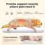 Polyester Pet Bed-545129486