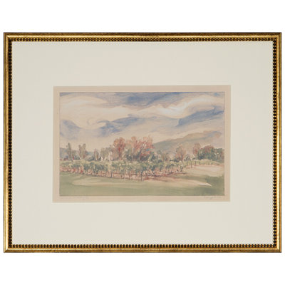 Wine in the Valley III Framed Print