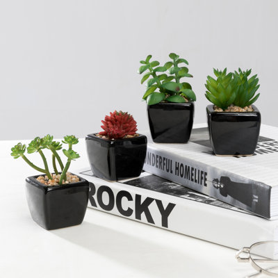 Ensemble de 4 plantes grasses artificielles en pot
