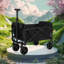 Utility Wagon Cart