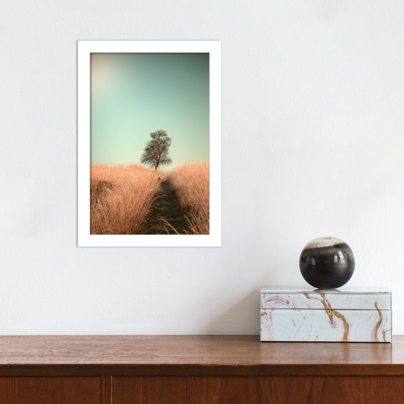 Grass And Path by Jaap Van Den, 9" W x 13" H, White