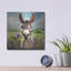  'Nice To Meet You - Donkey' by Rey Klimt Metal Wall Art, 12" x 12"