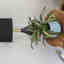 Photos des clients 1 de 1