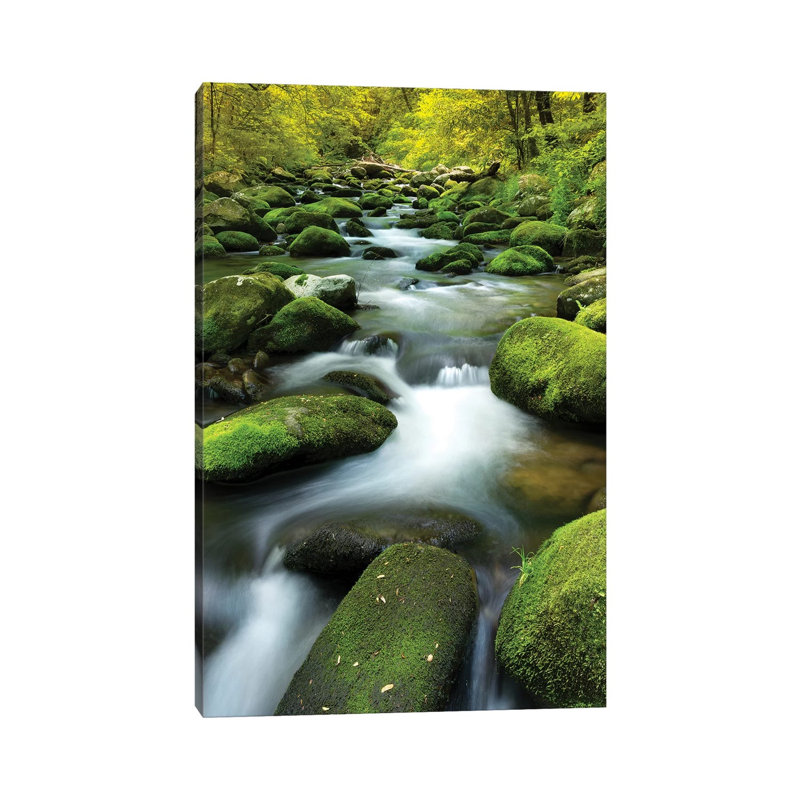Mountain Stream by Jonathan Ross Photography - Wrapped Canvas Print, 20.32 cm H x 30.48 cm W