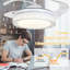 Borowski 42'' Ceiling Fan with LED Lights