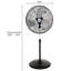 Ventilateur oscillant / debout Hurricane-101588565-101799441