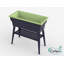 Planter-57370189-57370193