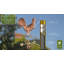 Girouette coq-1756424834