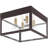 Benjamina Wall Light-1671341951