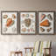 Collection de coquillages VII - ensemble de 3 reproductions d'art sur toile-1813018575-1813018574