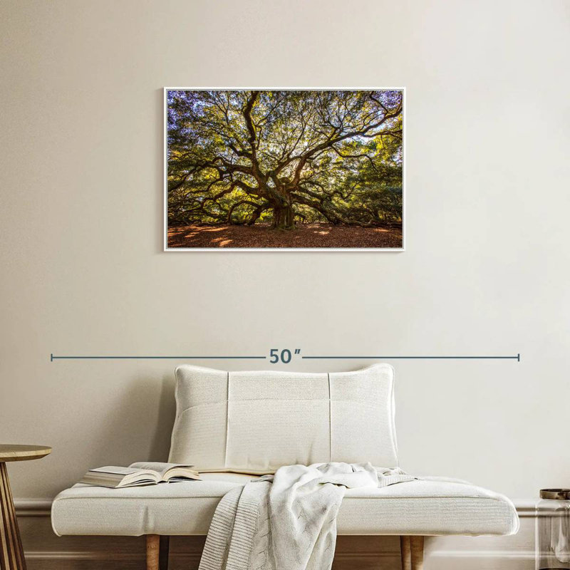 Chêne ange noueux, Cadre flottant blanc, 31 po x 21 po