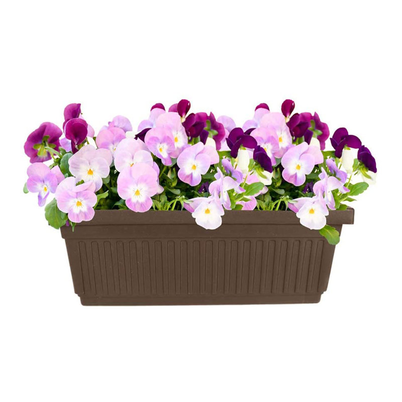 Andropolis Planter Box, 6.38" H x 6.75" W x 29.5" D, Chocolate, 6