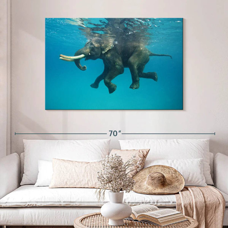 Brampt Swimming Asian Elephant