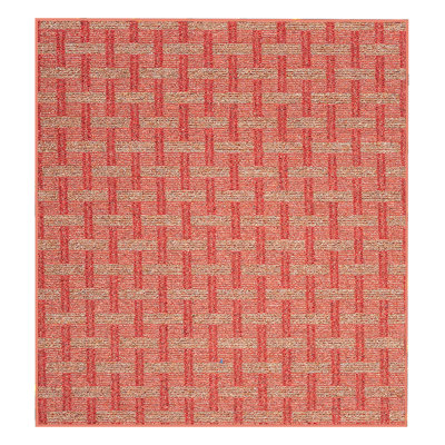 Tapis d'intérieur / extérieur Dareus