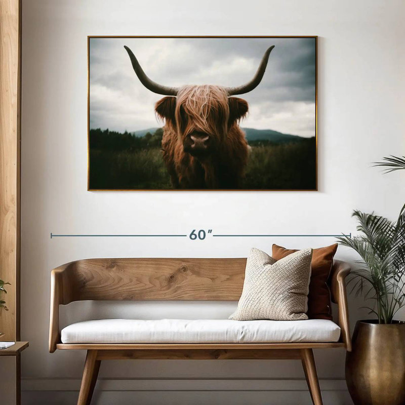Vache Highland Open Field, 46 po x 31 po, Cadre flottant doré