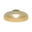 1-Light Dome LED Semi Flush Mount