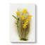 Magnolia Flowers Illustration Tab. 92 by Frederick Sander - Wrapped Canvas-55307783