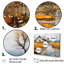 «Countryside Farm Fusion Unveilé» - Ensemble de décoration murale de ferme-107754853-107754858