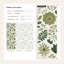 Shades Of Green Wallpaper Floral Modern Wall Decor